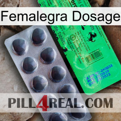 Femalegra Dosage new04